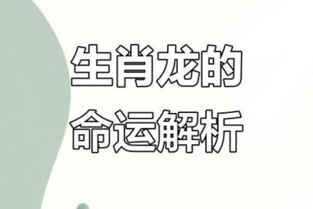 探秘47属大龙的命运：有哪些特质和影响？