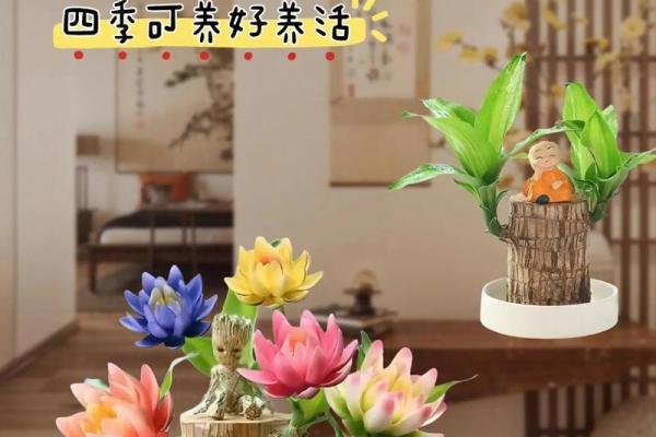木命人的幸运色彩：让生活充满生机与活力