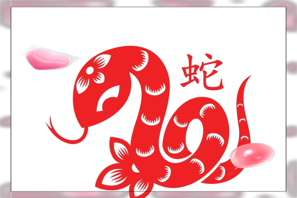 木命人的幸运色彩：让生活充满生机与活力