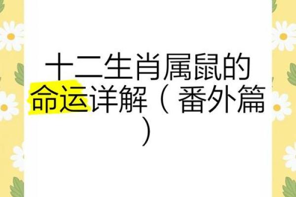 2020年属鼠：牛年出生的个性与命运解析