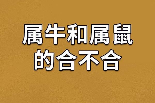 2020年属鼠：牛年出生的个性与命运解析