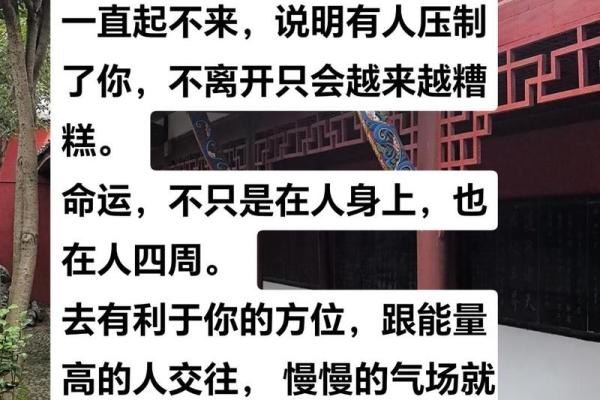 如何通过命理判断工作稳定性，让你的人生逆转运势！