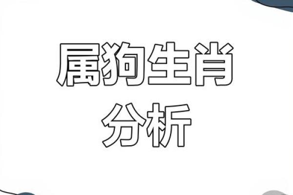 2007年属狗男性的命运分析与生活指导