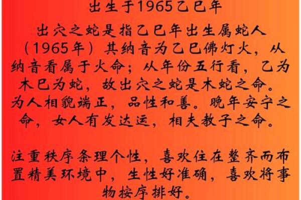 金命者的独特魅力与性格特征解析