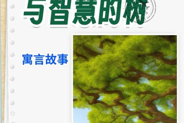 天昏地暗，成语里的智慧和启示！
