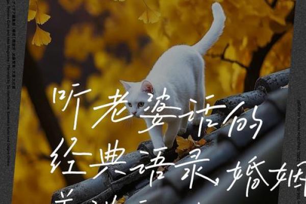 根据命理选择理想伴侣，幸福婚姻的秘诀
