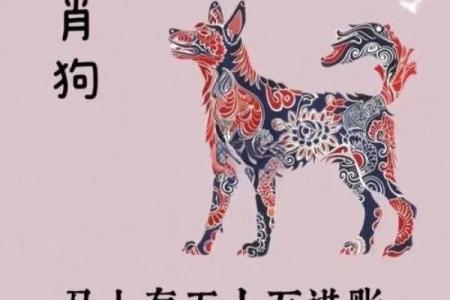 2007年属狗男性的命运分析与生活指导