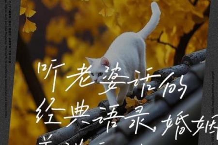 根据命理选择理想伴侣，幸福婚姻的秘诀