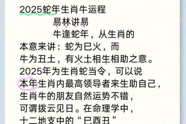 62年属什么牛，这个牛的命运与性格分析