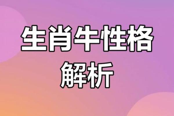 62年属什么牛，这个牛的命运与性格分析