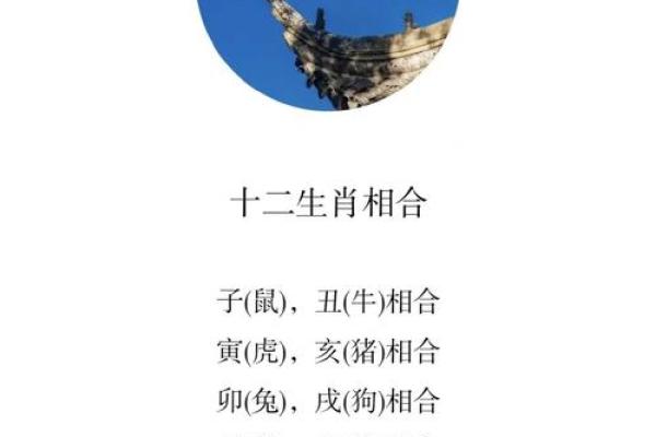 克命夫妻属相的缘分与命运解析