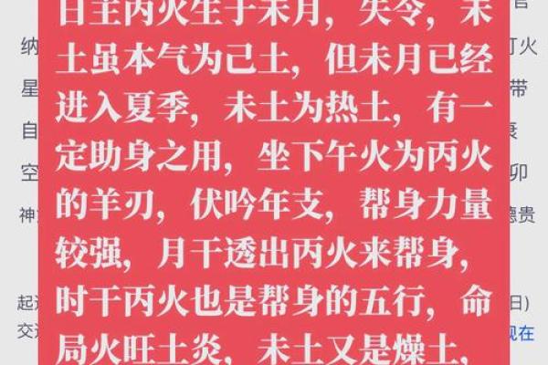 1995年属猪的火命解析：命理与人生的精彩旅程