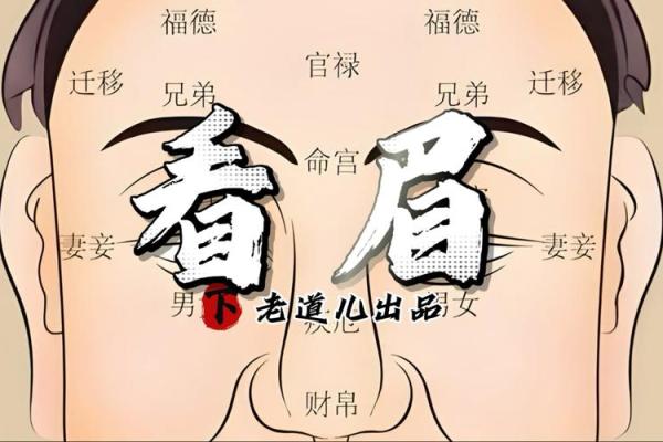 从眉毛高度看男人命运：眉宇间的秘密与人生轨迹的交织