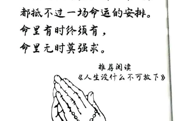 探秘“放命”的含义与背后的故事：从文化视角看这一独特表达