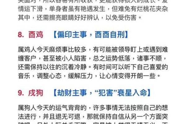命有高低，生肖背后的智慧与启示