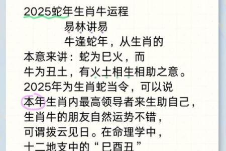 62年属什么牛，这个牛的命运与性格分析