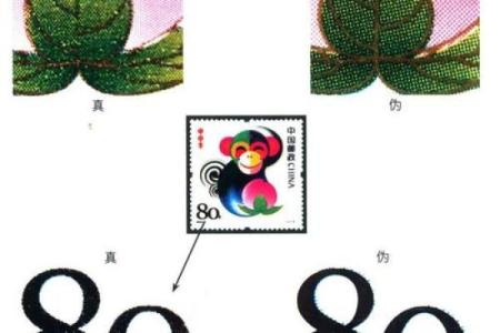 甲申年2004：命理探秘与生活智慧