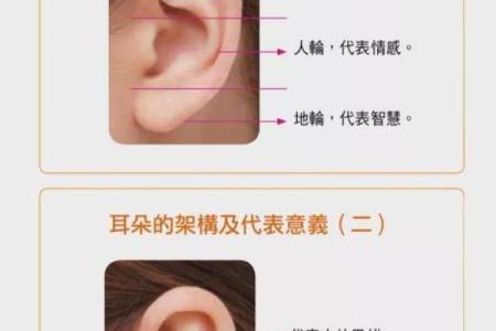 1994年出生的命运解析：灵动与智慧的交织