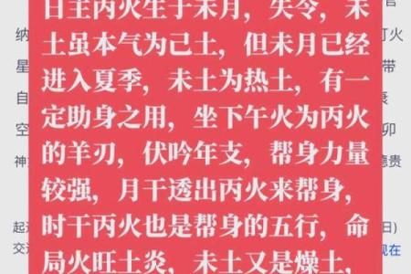 1995年属猪的火命解析：命理与人生的精彩旅程