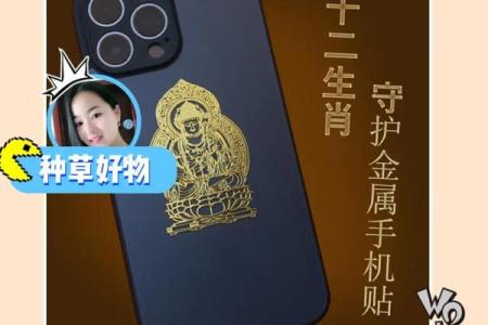 天生少爷命，生肖背后的命运真相