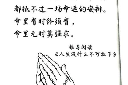 探秘“放命”的含义与背后的故事：从文化视角看这一独特表达