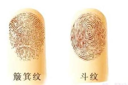 手指的八个斗：了解你的命运与生活之路
