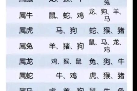 1981年属鸡人的命运与喜好，洞悉人生的关键秘诀！