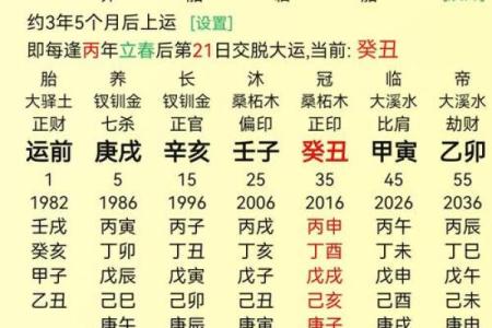 壬戌己酉：解码命格的深邃内涵与人生启示