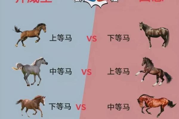 奴才命格：揭示与生肖之间的深刻联系与启示