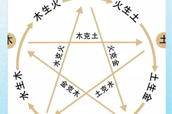 属木命与五行属火的命格解析：如何找到自己的生克关系
