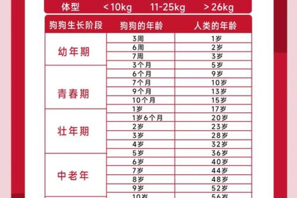 1994年男狗的命运与性格解析：深度了解你的生肖特点