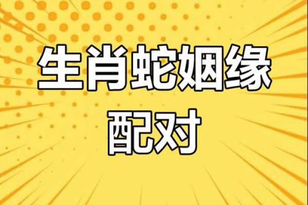 26岁属什么生肖与命运探究：揭示命理秘密与人生轨迹