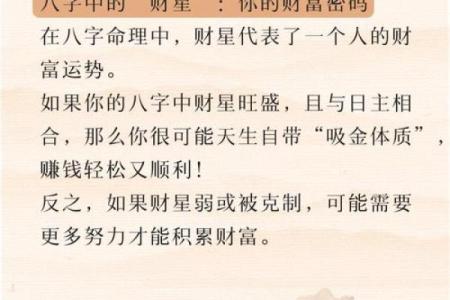 时辰命理：各时辰出生揭秘命运之路