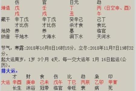 探秘命理：癸卯、乙卯、庚辰与辛巳的命运解析