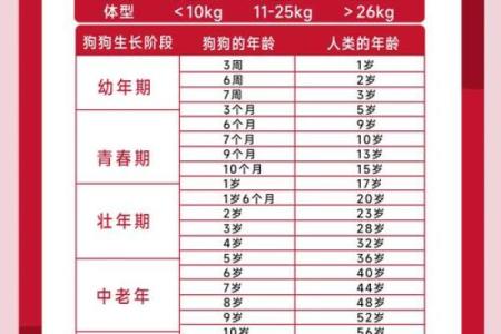1994年男狗的命运与性格解析：深度了解你的生肖特点