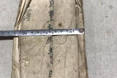 咸丰九年命理解析：从命运看人生的起伏与变迁