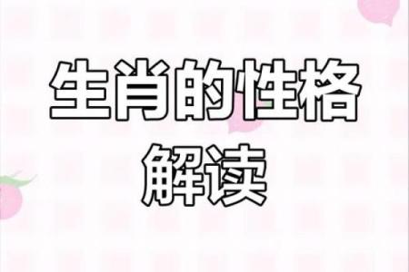 26岁属什么生肖与命运探究：揭示命理秘密与人生轨迹
