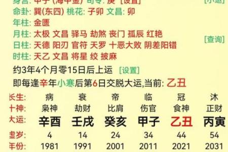 揭秘己亥庚午乙未癸酉命理：你的命运在哪里？