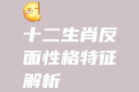 探究“忧命”的深意及其背后的生肖文化