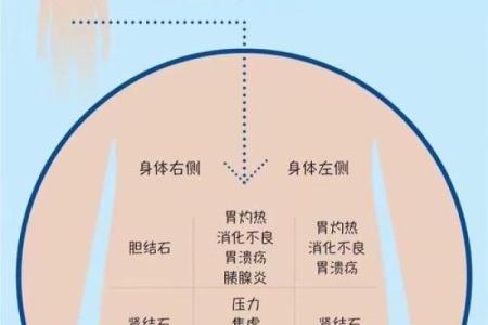 探究男命与父亲不合的深层原因与应对之道