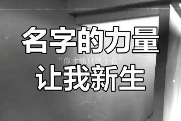 探秘名字的力量：如何通过名字测命，揭开命运的奥秘