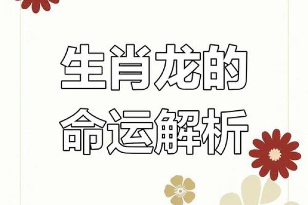 探索1952年龙年出生者的命运与性格特征