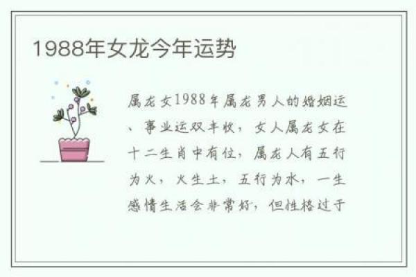 1997年出生的女牛一生运势解析：命理与性格的完美结合