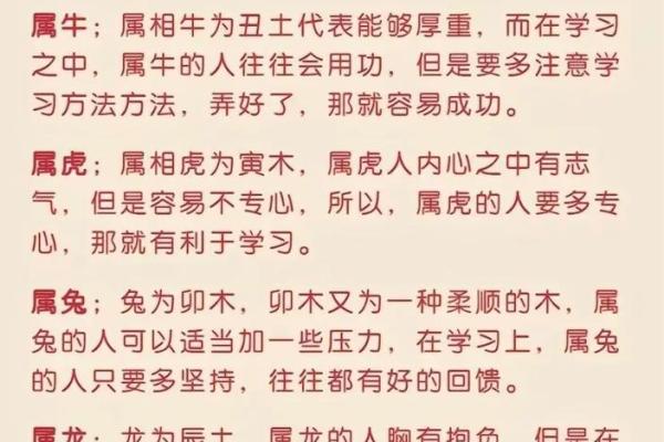 2023年兔年命理解析：揭秘兔年的吉凶与运势