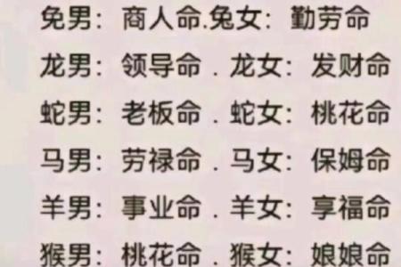 探索1952年龙年出生者的命运与性格特征