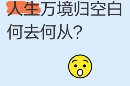有案底的人生何去何从：命运的抉择与重塑