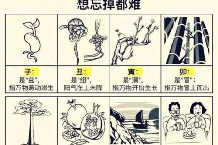 算卦文化：解析生命的无常与命格的奥秘