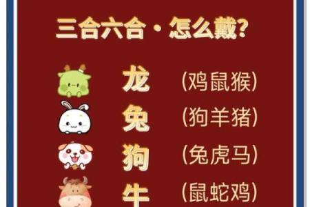 2024年：64年龙命人的运势与生活指南