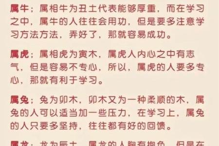2023年兔年命理解析：揭秘兔年的吉凶与运势