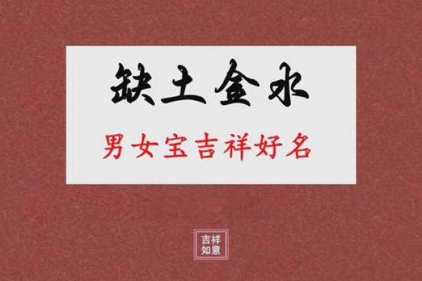 猴年男孩命名指南：如何为猴宝宝选择一个吉祥好名